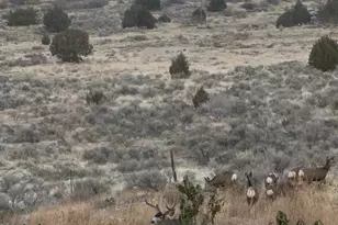 1930 W 5900 N, Brigham City, UT 84302 - Photo 108