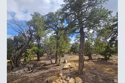 33383 W 8000 S, Duchesne, UT 84021 - Photo 68