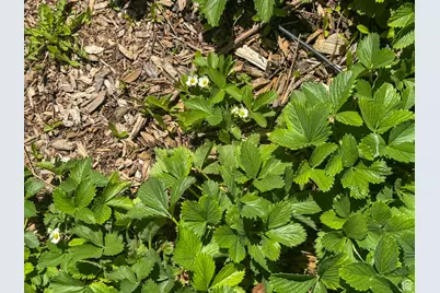 3261 S 1500 W, Nibley, UT 84321 - Photo 10