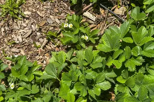 3261 S 1500 W, Nibley, UT 84321 - Photo 10