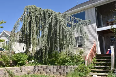 183 E Ama Fille Ln N, Elk Ridge, UT 84651 - Photo 64