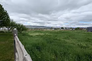 565 E Platt Ln, Mona, UT 84645 - Photo 50