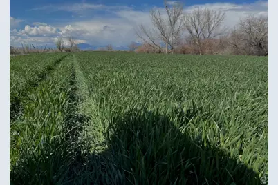 2968 W 7300 S, Benjamin, UT 84660 - Photo 8