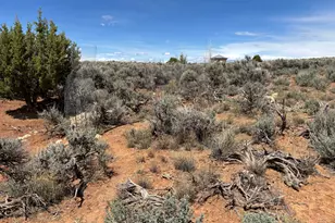 123 E Hickman Flts Rd, Monticello, UT 84535 - Photo 28