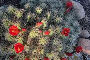 123 E Hickman Flts Rd, Monticello, UT 84535 - Photo 18