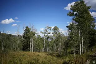 2481 Forest Meadow Rd, Wanship, UT 84017 - Photo 1