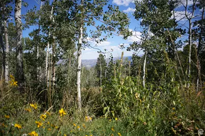 2481 Forest Meadow Rd #D91, Wanship, UT 84017 - Photo 4