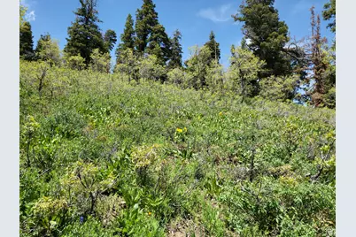 1920 W Elk Rd #78, Wanship, UT 84017 - Photo 22