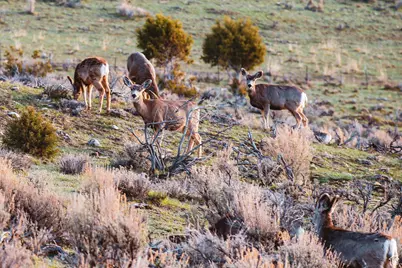 1069 Sego Ct #21, Coalville, UT 84017 - Photo 18