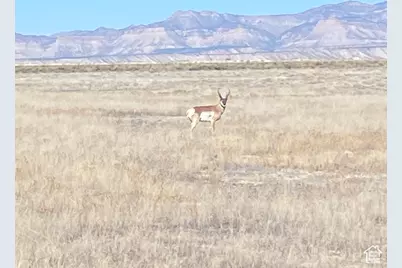 5850 S 100 E, Wellington, UT 84542 - Photo 4