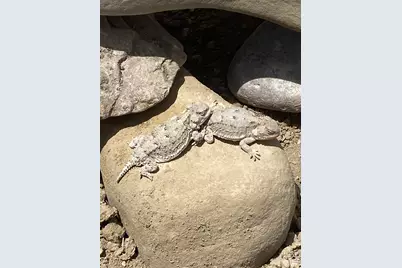 5850 S 100 E, Wellington, UT 84542 - Photo 8