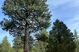 255 White Oak St S, Orderville, UT 84758 - Photo 12