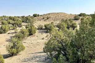 19961 W Toshas Trail, Duchesne, UT 84021 - Photo 1