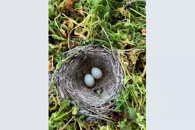 451 E 6000 N, Kenilworth, UT 84529 - Photo 30