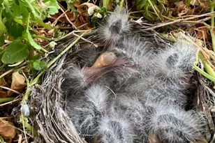 451 E 6000 N, Kenilworth, UT 84529 - Photo 32