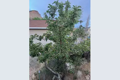 451 E 6000 N, Kenilworth, UT 84529 - Photo 28