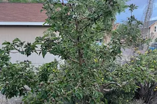 451 E 6000 N, Kenilworth, UT 84529 - Photo 28