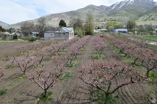 1670 S Hwy 89, Perry, UT 84302 - Photo 80