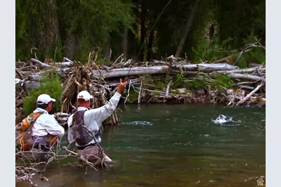 [Address not provided], Altonah, UT 84002 - Photo 16