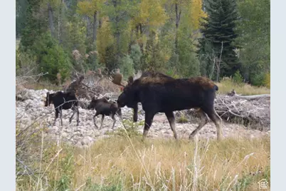 [Address not provided], Altonah, UT 84002 - Photo 12