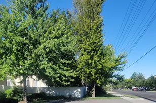 7825 S Spruce Tree Ln, Sandy, UT 84094 - Photo 30