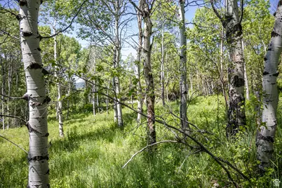 5426 E Colter #33, Oakley, UT 84055 - Photo 20