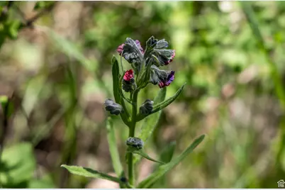 5426 E Colter #33, Oakley, UT 84055 - Photo 18
