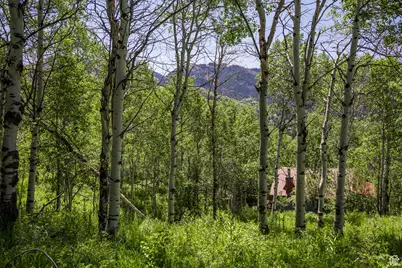 5426 E Colter #33, Oakley, UT 84055 - Photo 26