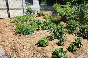 1735 Hayes Dr, Layton, UT 84040 - Photo 44