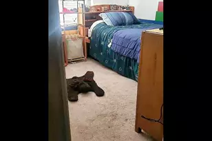 1559 S 2950 W, Vernal, UT 84078 - Photo 16