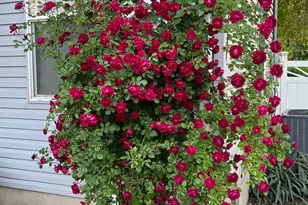 632 W 200 N, Salt Lake City, UT 84116 - Photo 30