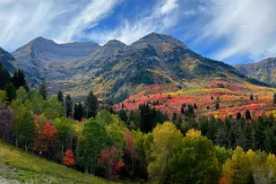 8878 N Timphaven Rd Man Rd, Sundance, UT 84604 - Photo 34