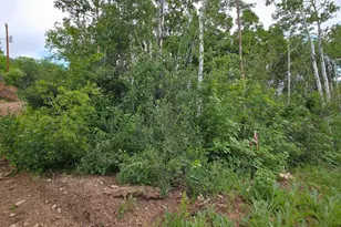 11 Tabby Rd, Tabiona, UT 84072 - Photo 14