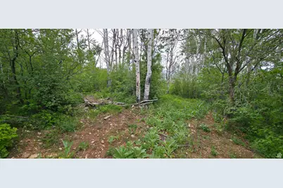 11 Tabby Rd #11, Tabiona, UT 84072 - Photo 12