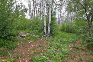 11 Tabby Rd, Tabiona, UT 84072 - Photo 12