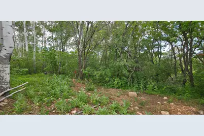 11 Tabby Rd #11, Tabiona, UT 84072 - Photo 6