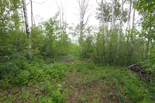 11 Tabby Rd, Tabiona, UT 84072 - Photo 8