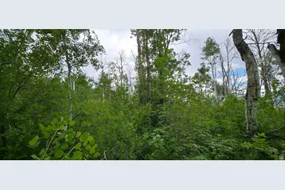 11 Tabby Rd #11, Tabiona, UT 84072 - Photo 10