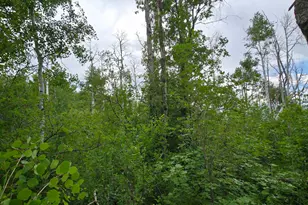 11 Tabby Rd, Tabiona, UT 84072 - Photo 10