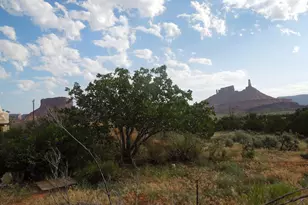 313 W Holyoak Ln, Castle Valley, UT 84532 - Photo 10