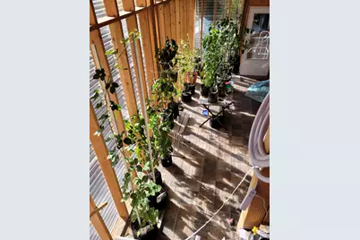 97 Main St, Ophir, UT 84071 - Photo 34