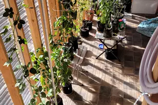 97 Main St, Ophir, UT 84071 - Photo 34