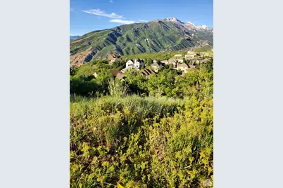 14849 S Saddle Leaf Ct, Draper, UT 84020 - Photo 1