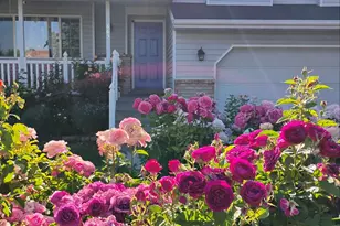 665 S 1040 E, Spanish Fork, UT 84660 - Photo 32