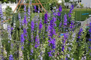 665 S 1040 E, Spanish Fork, UT 84660 - Photo 28