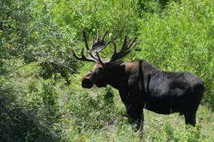 8153 John Fremont Dr, Huntsville, UT 84317 - Photo 24