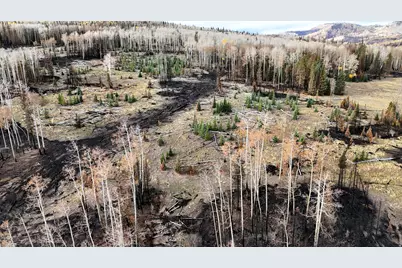 123 Tbd Monroe Canyon Rd, Monroe, UT 84754 - Photo 56