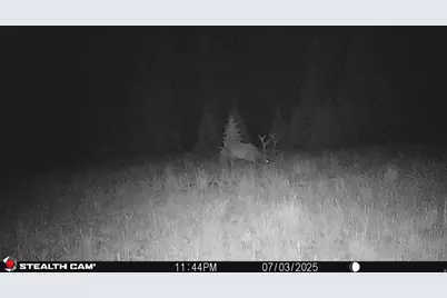 123 Tbd Monroe Canyon Rd, Monroe, UT 84754 - Photo 10