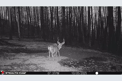 123 Tbd Monroe Canyon Rd, Monroe, UT 84754 - Photo 12