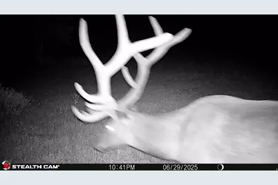 123 Tbd Monroe Canyon Rd, Monroe, UT 84754 - Photo 8